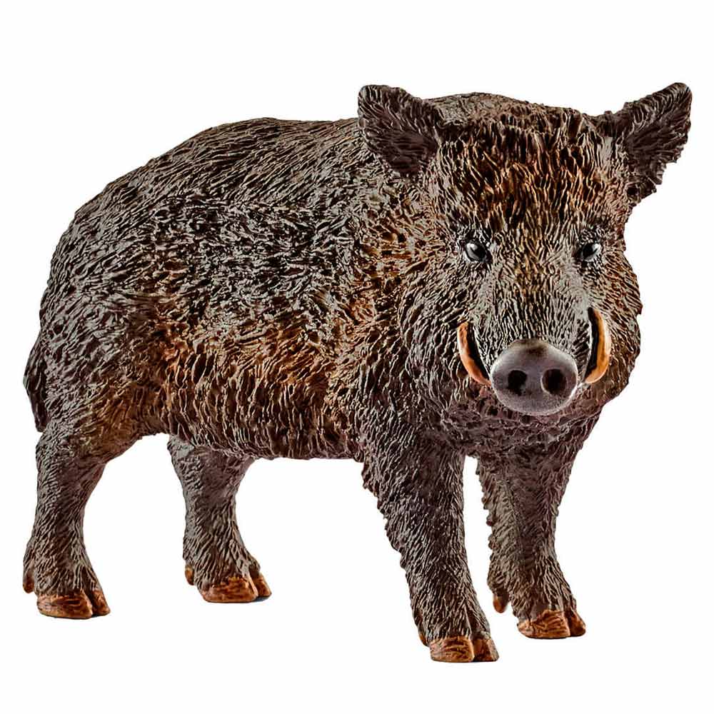 Игровая фигурка Дикий кабан Schleich (14783) 
Игровая фигурка Дикий кабан Schleich (14783)