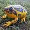 Фігурки тварин - Фігурка Lanka Novelties Піщана жаба 21 см (21571)#3