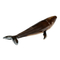 Фігурки тварин - Фігурка Lanka Novelties Горбатий кит 34 см (21580)#3