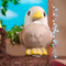 Антистресс игрушки - Растущая игрушка-сюрприз Sbabam Eggy animals Птички (91/CN22)#5