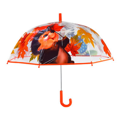 Зонты и дождевики - Зонтик Shantou Jinxing Ежик (CEL-403-2)