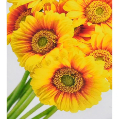 Мозаика - Алмазная картина Strateg Солнечные цветы 30 х 40 см (4823113868987/7HEG88145)