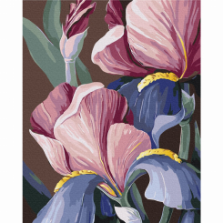 Товари для малювання - Картина за номерами Brushme Півники (BS53760)