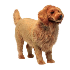 Мягкие животные - Мягкая игрушка Hansa Золотистый ретривер 100 см (4806021963463) Мягкие животные - Мягкая игрушка Hansa Золотистый ретривер 100 см (4806021963463)