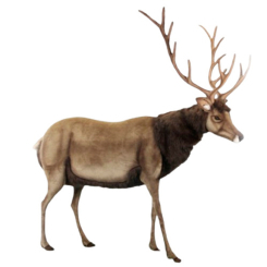 М'які тварини - М'яка іграшка Hansa Олень 200 см (4806021959794)