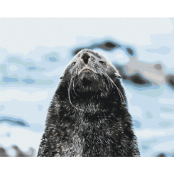 Товари для малювання - Картина за номерами Brushme Морський котик Сергій Глотов 40 х 50 см (BS54270) Товари для малювання - Картина за номерами Brushme Морський котик Сергій Глотов 40 х 50 см (BS54270)