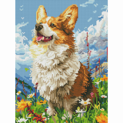 Товари для малювання - Алмазна мозаїка Brushme Сонячний коргі (DRBS53943)