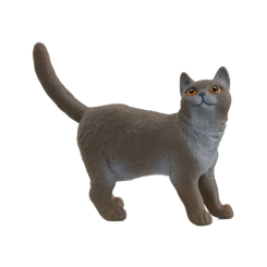 Фигурки животных - Фигурка Schleich Британская короткошерстная кошка (13973)