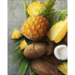 Мозаика - Алмазная картина Strateg Ананас и кокос 30 х 40 см (4823113868987/9HEG86032)