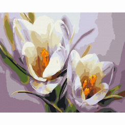 Товари для малювання - Картина за номерами Brushme Крокуси (BS5828)