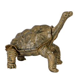 Фигурки животных - Игровая фигурка Kids Team Сафари Абингдонская слоновая черепаха светлая (Q9899-A63/1)