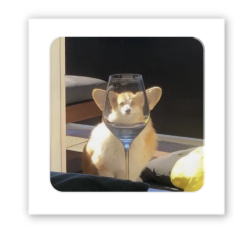 Набори для творчості - 3D-стікер Tattooshka Коргі (SX-195)