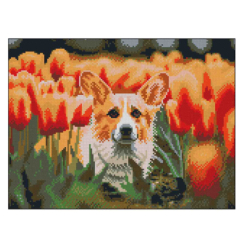 Мозаїка - Алмазна картина Strateg Коргі в тюльпанах (4823113898311)