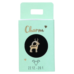 Бижутерия и аксессуары - Подвеска на серьгу Trends by Depesche Express yourself 21 (0411834/21) Бижутерия и аксессуары - Подвеска на серьгу Trends by Depesche Express yourself 21 (0411834/21)