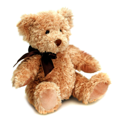 Мягкие животные - Мягкая игрушка Keel toys Медвежонок Шервуд 25 см (SB5429)