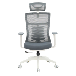 Мебель для геймеров - Кресло OfficePro Balance White/Dark Gray (OC550-W-DG-DG) Мебель для геймеров - Кресло OfficePro Balance White/Dark Gray (OC550-W-DG-DG)