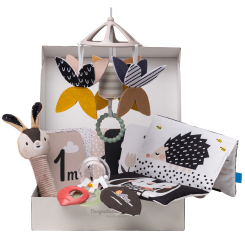 Розвивальні іграшки - Подарунковий набір Taf Toys Садочок у місті Чорно-біла гармонія (13475)