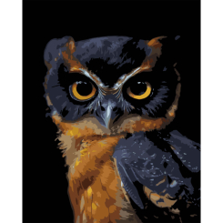 Товары для рисования - Картина по номерам Strateg Взгляд ночи на черном фоне 40 х 50 (AH1269) Товары для рисования - Картина по номерам Strateg Взгляд ночи на черном фоне 40 х 50 (AH1269)