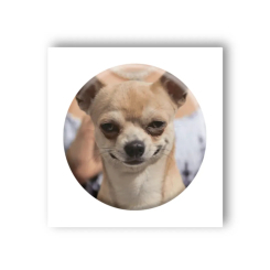 Набори для творчості - 3D-стікер Tattooshka Мем усмішка (SX-19) Набори для творчості - 3D-стікер Tattooshka Мем усмішка (SX-19)