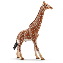Фигурки животных - Игровая фигурка Schleich «Животные Африки. Самец Жирафа» (14749)