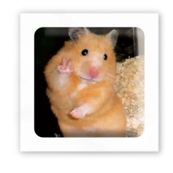 Набори для творчості - 3D-стікер Tattooshka Хомяк каже привіт (SX-142)