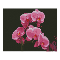 Мозаїка - Алмазна картина Strateg Рожеві орхідеї 40х50 см (FA11877)