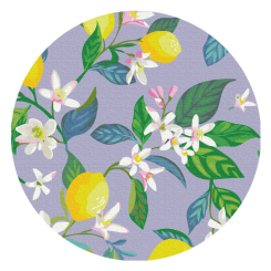 Товари для малювання - Картина за номерами Brushme Цвітіння лимона (RC00047M)