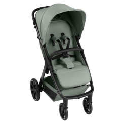 Коляски - Прогулочная коляска ABC Design Avus 2 Pine (12004992302)