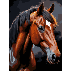 Товары для рисования - Картина по номерам Strateg Коричневый конь на черном фоне 30 х 40 см (FH-39)