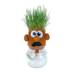 Научные игры, фокусы и опыты - Игровой набор ORB Sprouti palz Травянчик оранжевый (ORB40821-3)