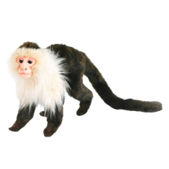 М'які тварини - М'яка іграшка Hansa Мавпа капуцин 20 см (4806021958513) М'які тварини - М'яка іграшка Hansa Мавпа капуцин 20 см (4806021958513)