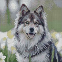 Мозаїка - Алмазна картина Strateg Хаскі в квітах 30 х 30 см (FZ3030-44)