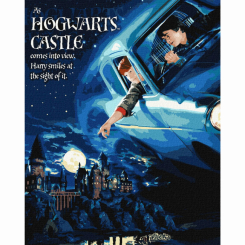 Товары для рисования - Картина по номерам Идейка Harry Potter Полет на авто с красками металлик 40 х 50 (KHO8719)