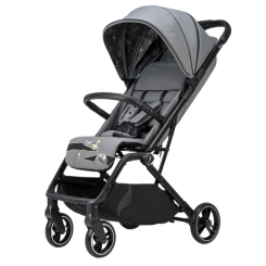 Коляски - Прогулочная коляска Osann Boogy 2 Monster (120-303-320)