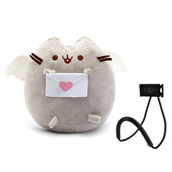 Подушки - Мягкая игрушка Pusheen cat с письмом + подарок (vol-1042)
