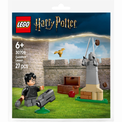 Конструкторы LEGO - Конструктор Lego Harry Potter Урок по Квиддичу (30706) Конструкторы LEGO - Конструктор Lego Harry Potter Урок по Квиддичу (30706)