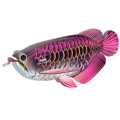 3D-пазлы - 3D пазл Eugy Зоопарк Азиатская арованная (XEG-118)