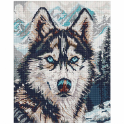 Мозаика - Алмазная мозаика Ідейка Глаза севера 40 х 50 см (AMO20041)