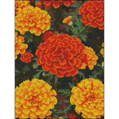 Мозаїка - Алмазна картина Strateg Вогняні чорнобривці 30 х 40 см (FZ3040-24)