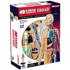 Конструктори з унікальними деталями - Об’ємна збірна анатомічна модель Тіло людини напіввідкрите 4D Master (26085)