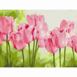 Товари для малювання - Картина за номерами Brushme Ніжні тюльпани (RBS31435)