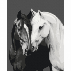 Товари для малювання - Картина за номерами Brushme Чорне і біле серце (BS54418)