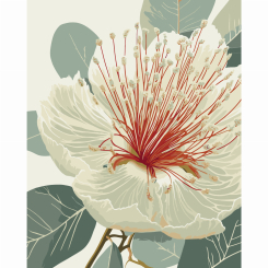 Товары для рисования - Картина по номерам Art Craft Цветущий эвкалипт 40 х 50 см (13155-AC)