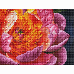 Товары для рисования - Алмазная мозаика Brushme Красочный пион (RDBS7005)