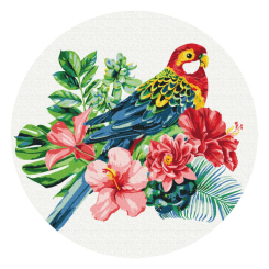 Товари для малювання - Картина за номерами Brushme Папуга (RC00058M)