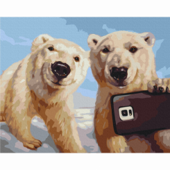 Товары для рисования - Картина по номерам Brushme Полярограмм (BS53479)