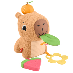 Развивающие игрушки - Развивающая игрушка Fisher-Price Капибара (HYR54)