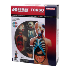 Обучающие игрушки - Объемная модель 4D Master Торс человека (FM-626003)