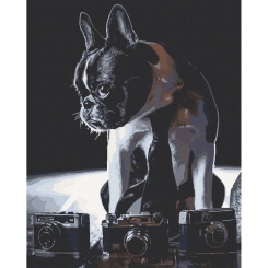 Товари для малювання - Картина за номерами Art Craft Сором'язливий фотограф 40 х 50 см (11642-AC)