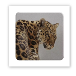 Набори для творчості - 3D стікер Tattooshka Wild cat (SX-145)